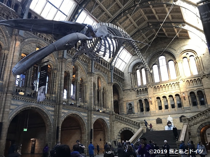 ロンドン自然史博物館の館内