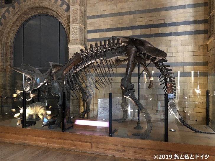 ロンドン自然史博物館の館内