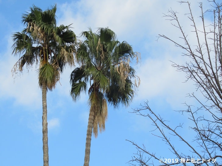 シウタデリャ公園の風景