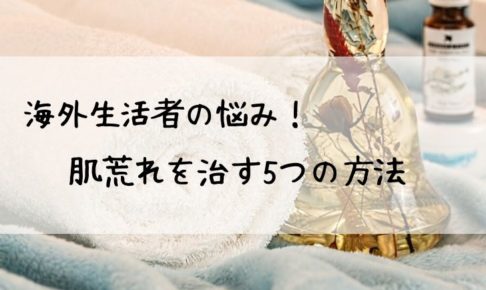 海外生活は太る 私が実際に行っているダイエット方法 旅と私とドイツ 海外生活は太る 私が実際に行っているダイエット方法 旅と私とドイツ