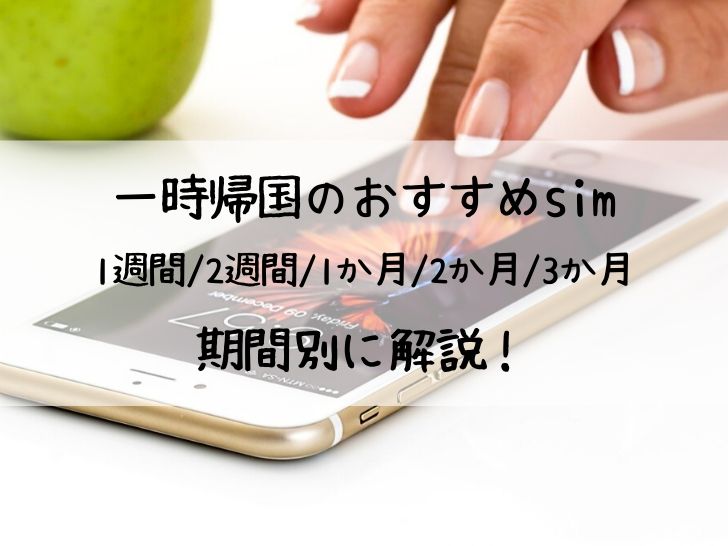 一時帰国のおすすめsim